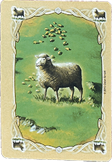 Wool